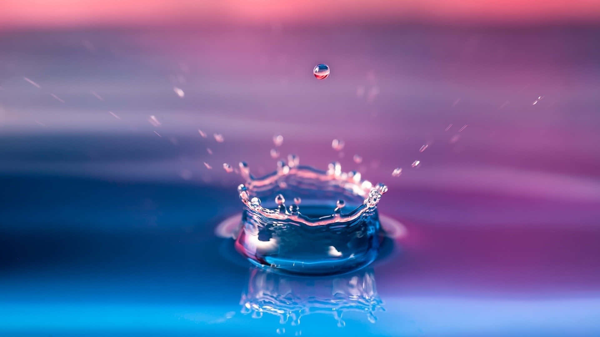 Water Droplet With Blue And Pink Background Wallpaper