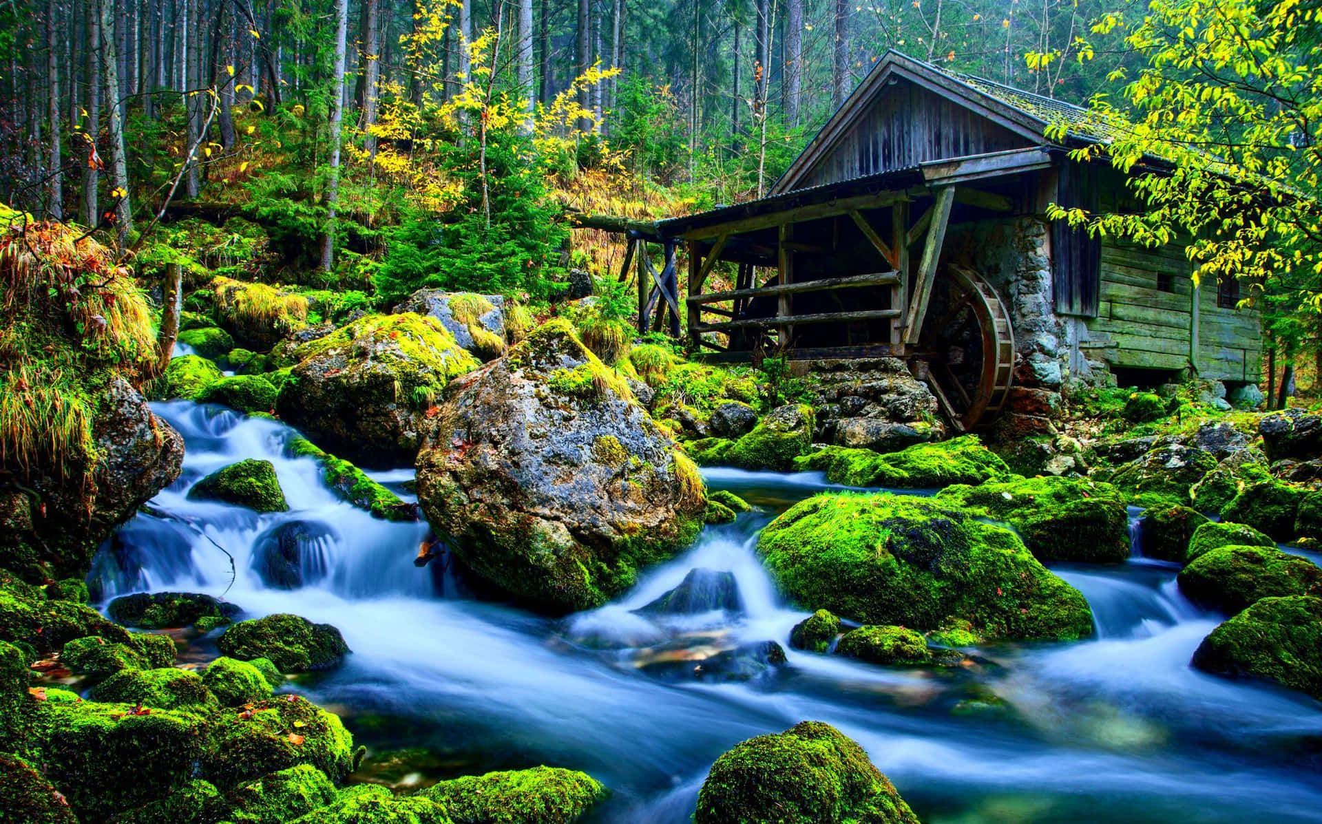 A Small Wooden House In The Forest With A Stream Wallpaper