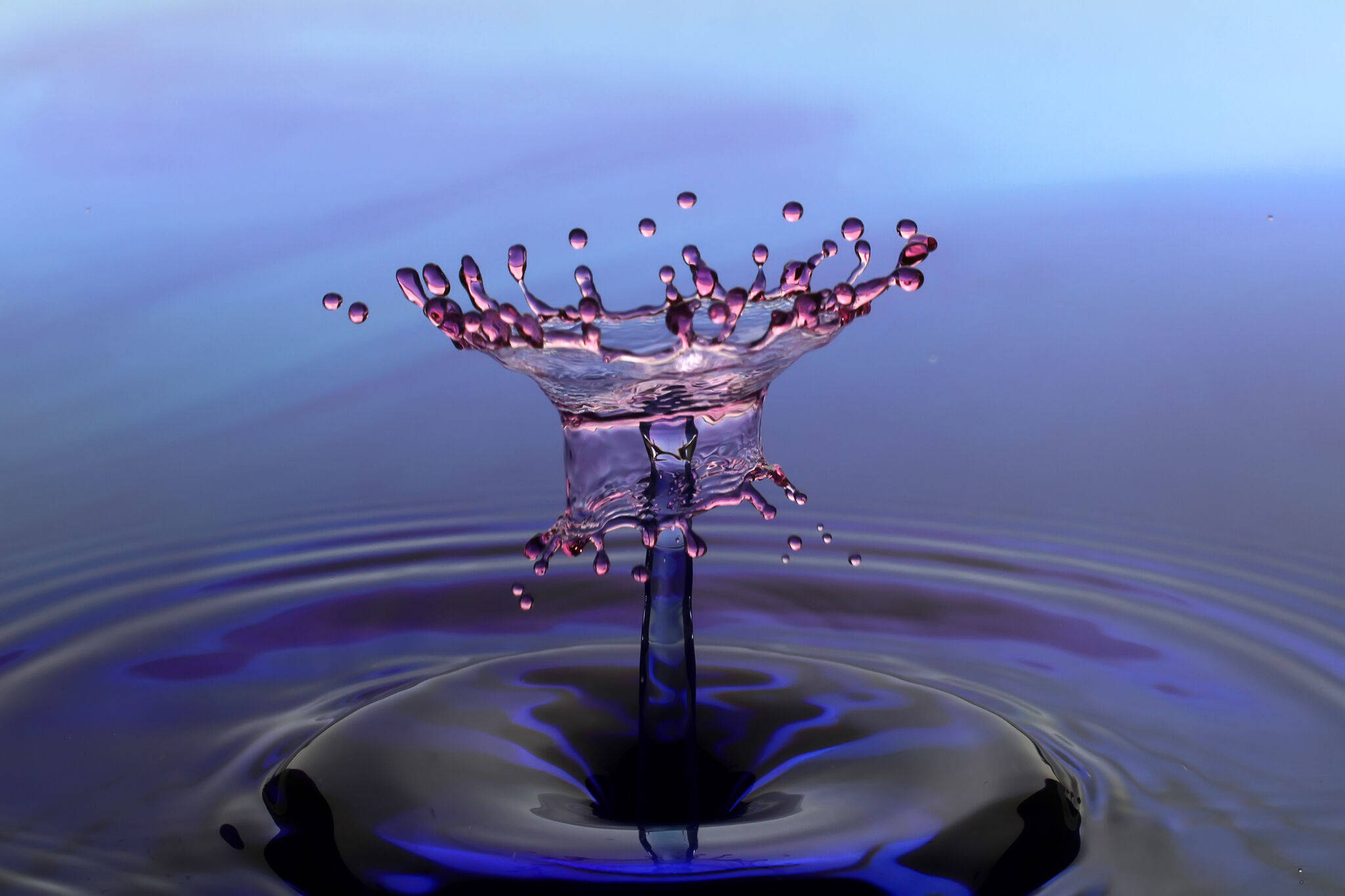 Impresionantesalpicadura De Flor De Agua En 3d. Fondo de pantalla