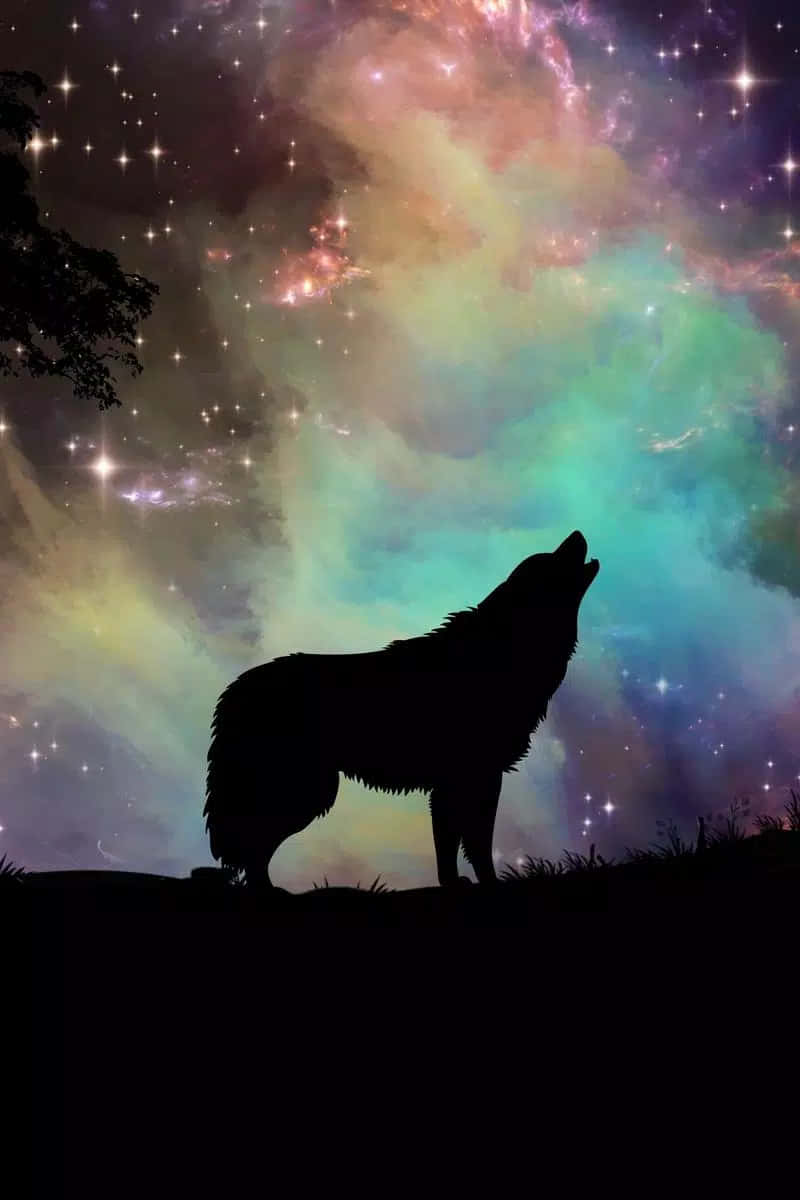 Experience the incredible beauty of the Cool Animal Galaxy Wallpaper