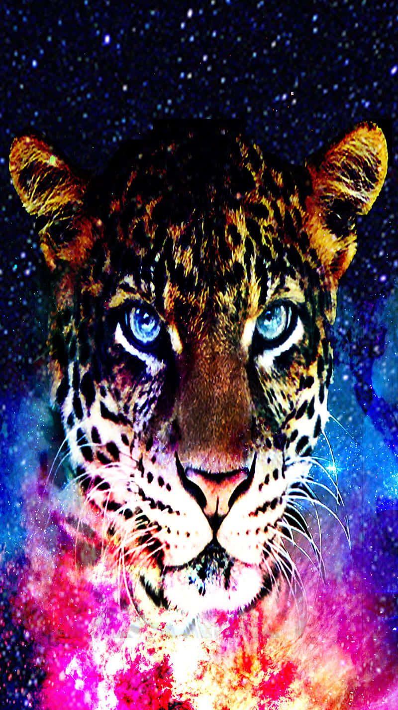 En leopard med blå øjne betragter et midnat landskab Wallpaper