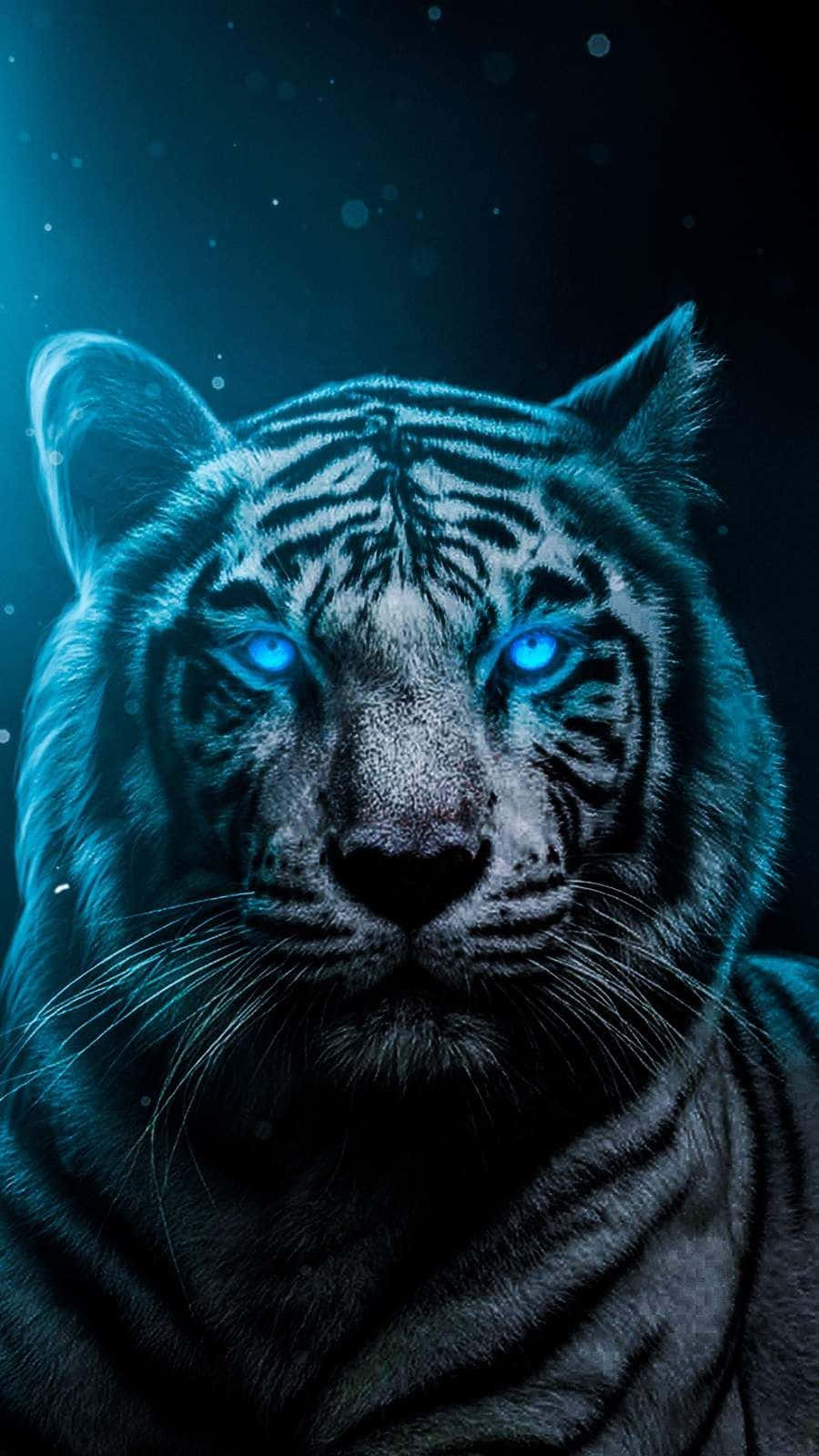 En hvid tiger med blå øjne i mørket Wallpaper