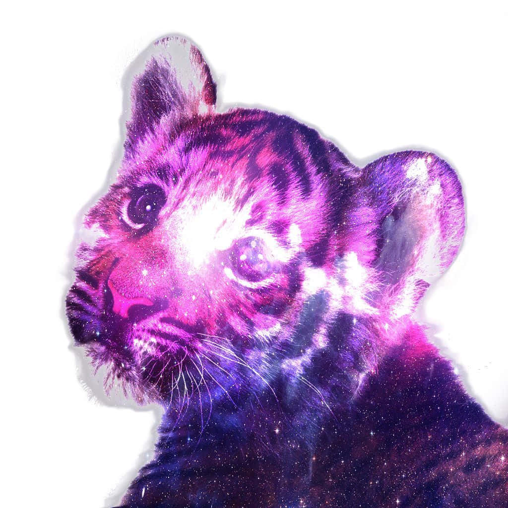 A Tiger Cub With A Purple And Pink Background Wallpaper