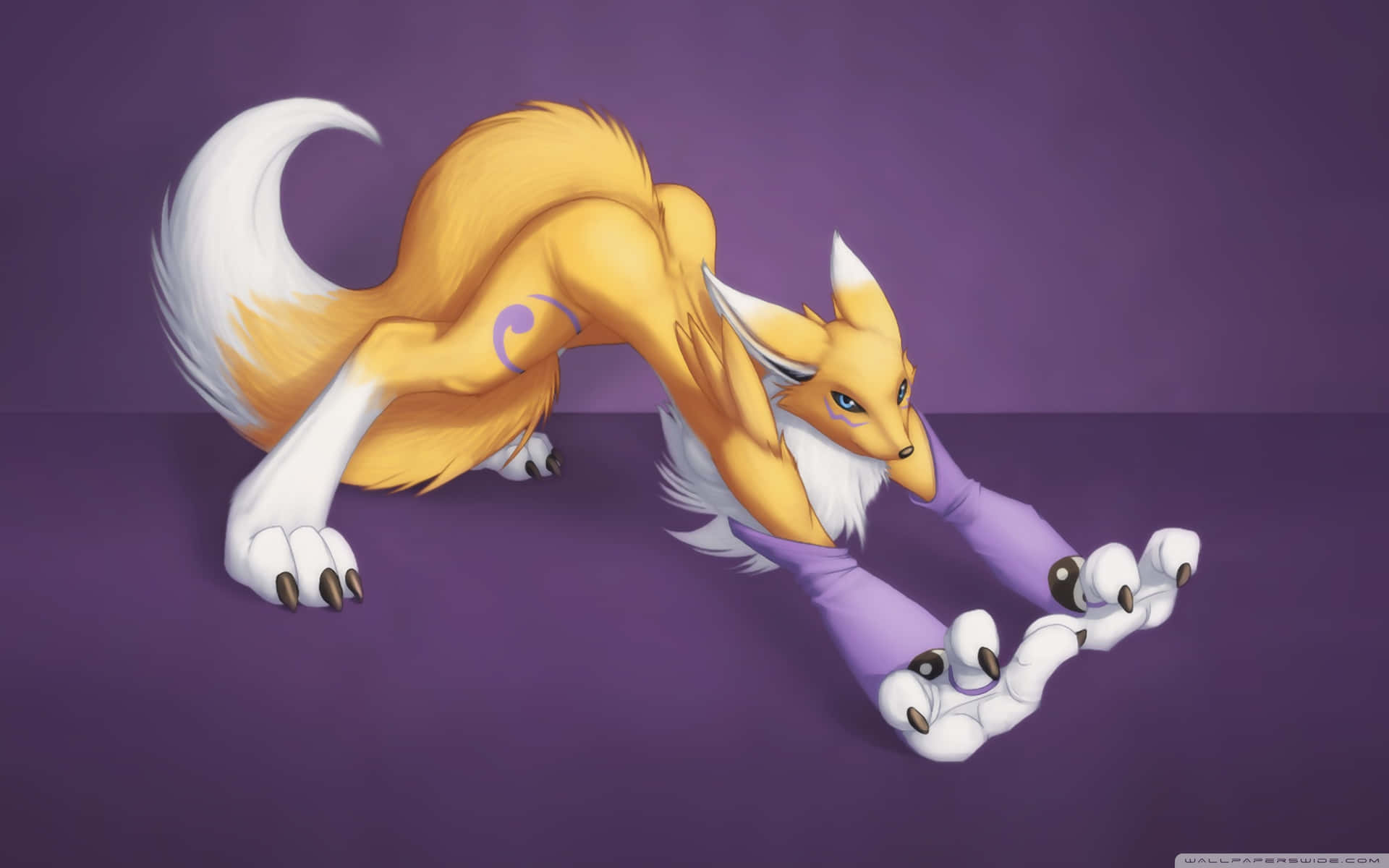 A Fox With Its Legs Stretched Out On A Purple Background Wallpaper