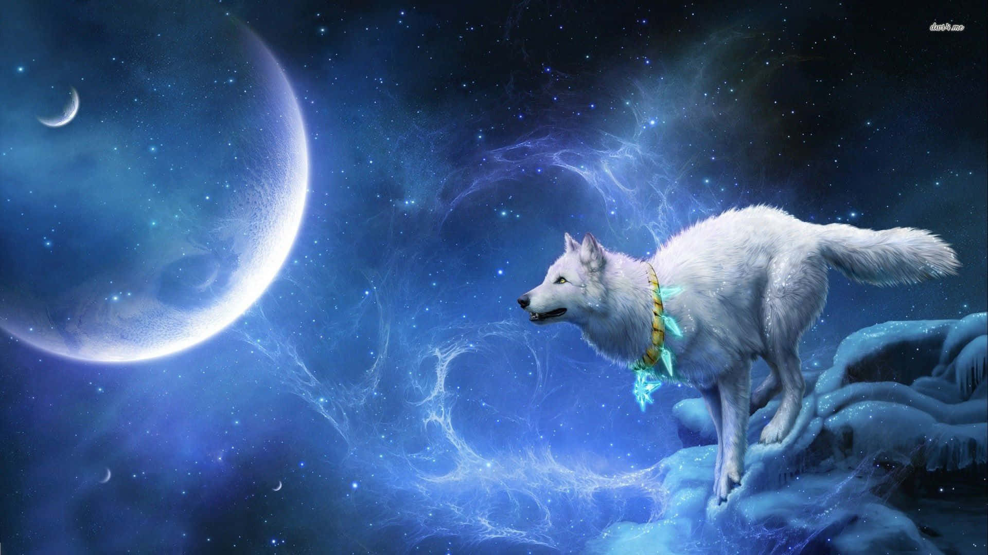 A fierce cool anime wolf stares into the night Wallpaper