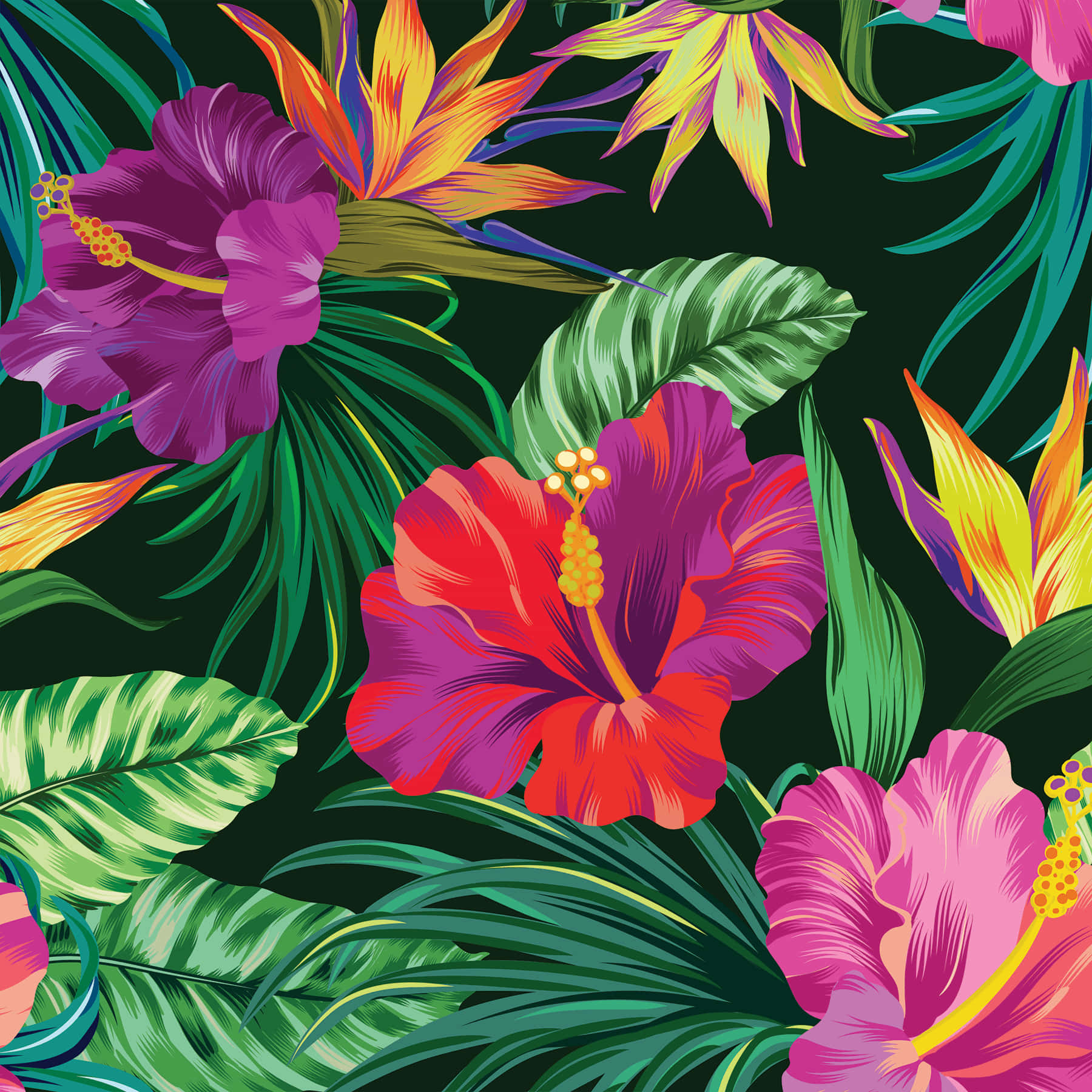 Cool Artwork Of Hibiscus Flower Background