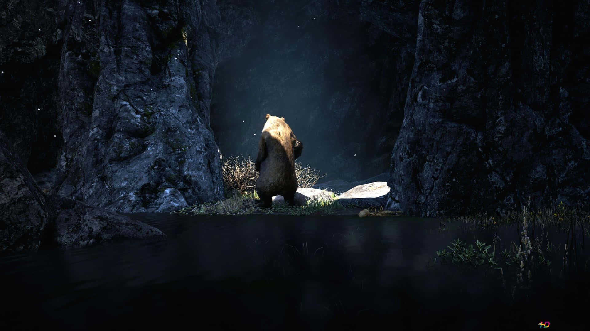 A Relaxed, Cool Brown Bear Enjoying His Morning Wallpaper