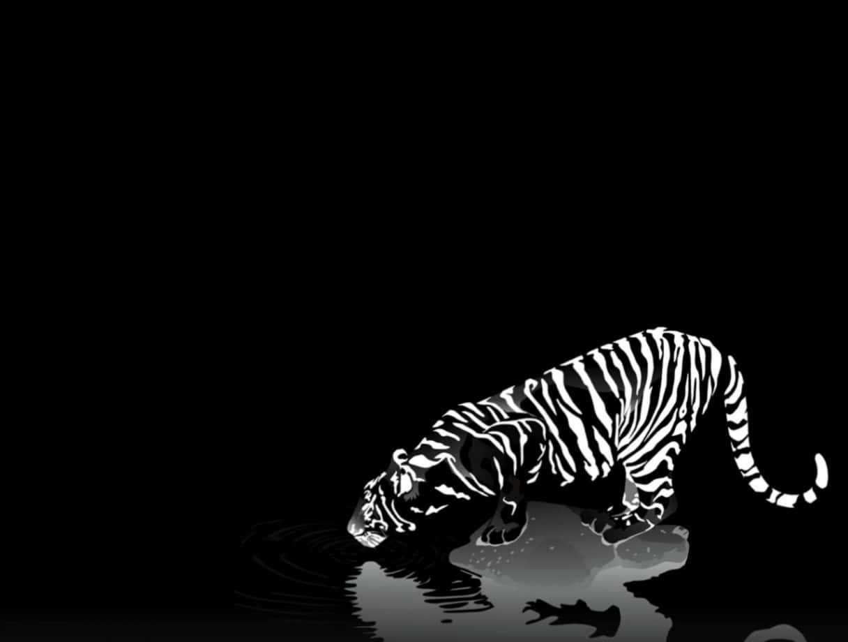 Coolsvartvit Bild Av En Tiger.