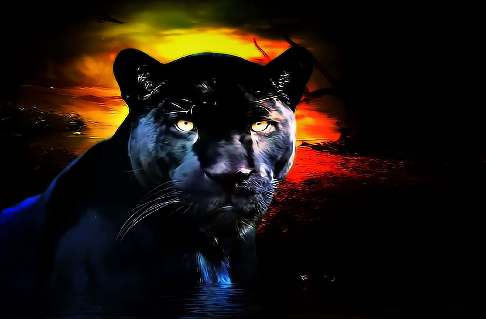 a black panther is standing in the water Wallpaper