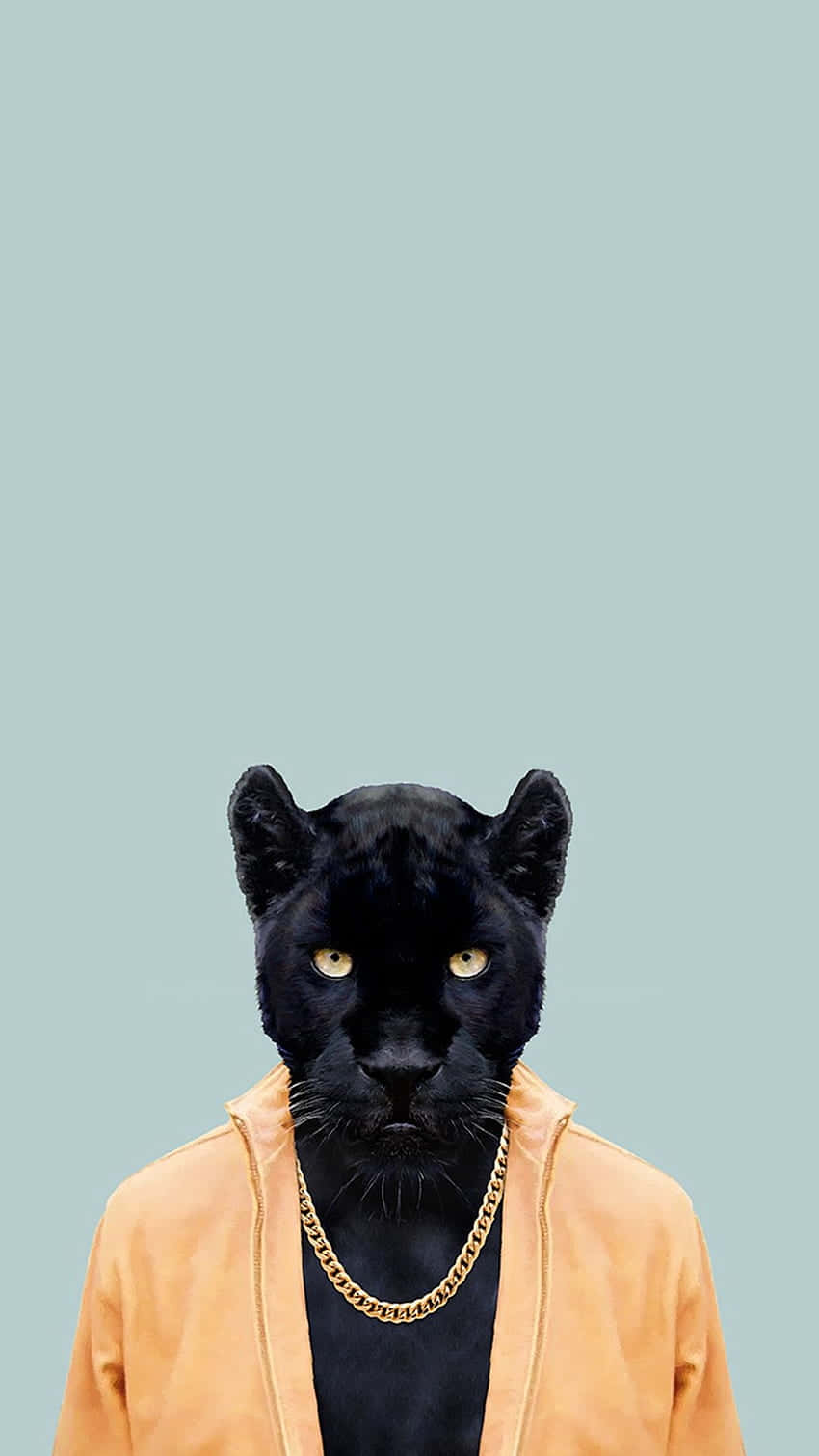 Free Cool Black Panther Animal Wallpaper Downloads, [100+] Cool Black  Panther Animal Wallpapers for FREE 