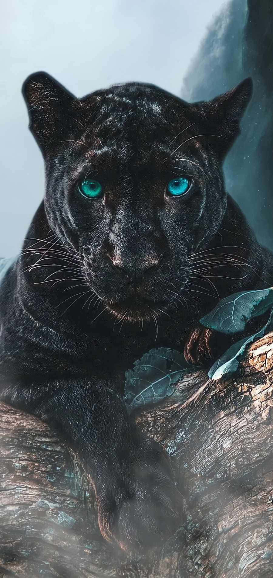 "Beautiful and Majestic Black Panther" Wallpaper
