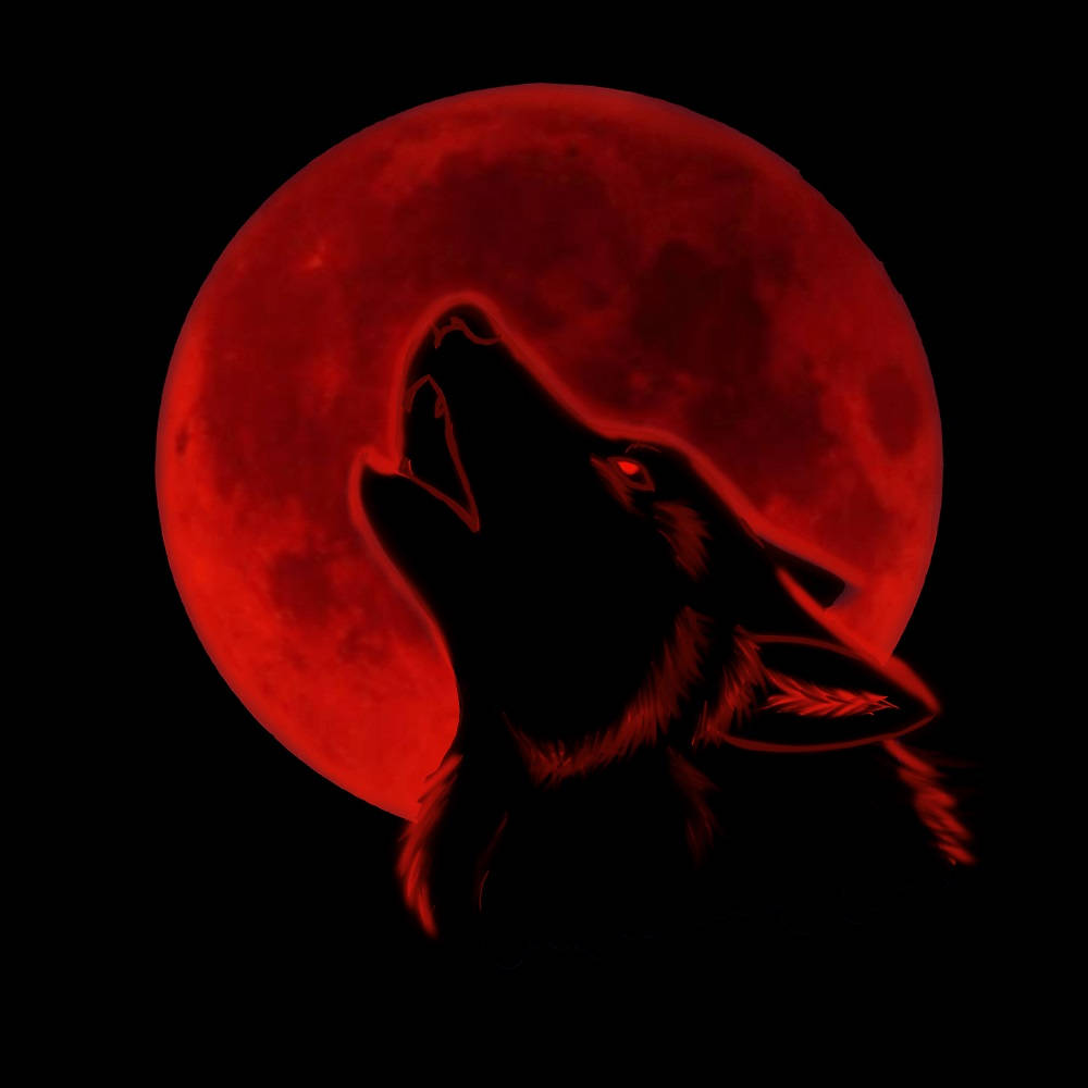 Cool Black Wolf Howling At Red Moon Wallpaper