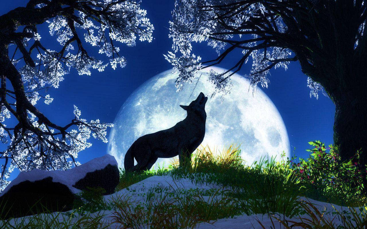 Cool Black Wolf Howling Near Flowery Trees Wallpaper