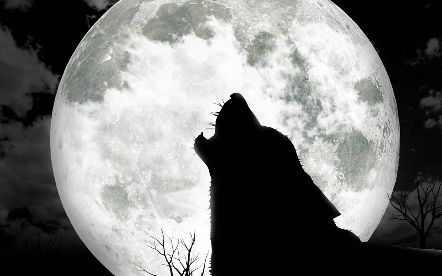 Cool Black Wolf Howling With Full Moon Wallpaper