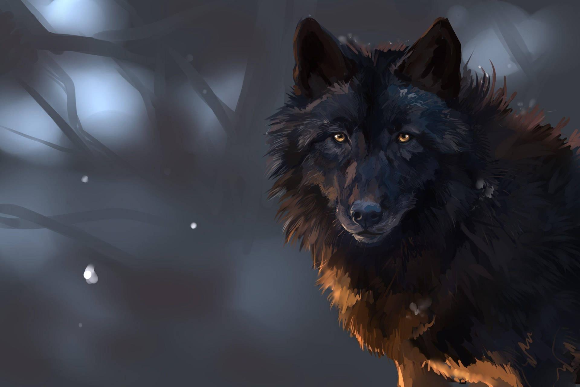 Kølig sort ulv i skoven skaber en magisk ramme. Wallpaper