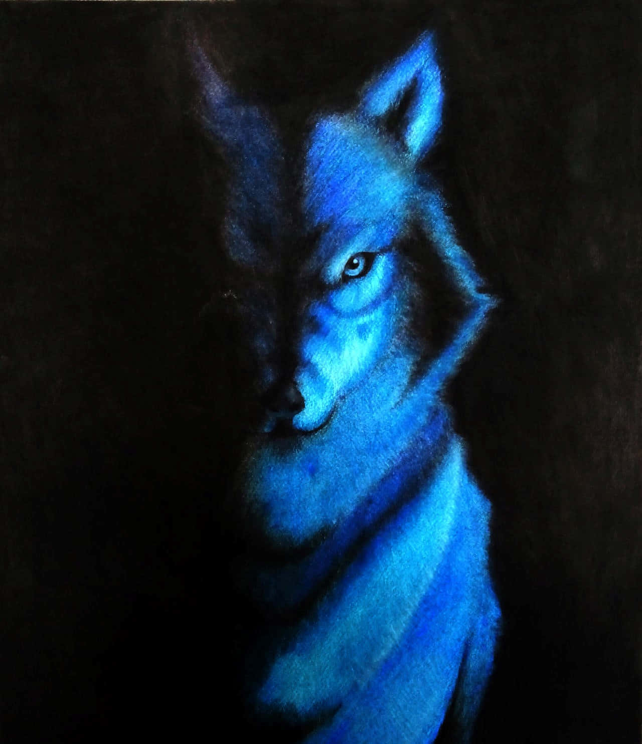 Dark Pierce Cool Blue Wolf Wallpaper