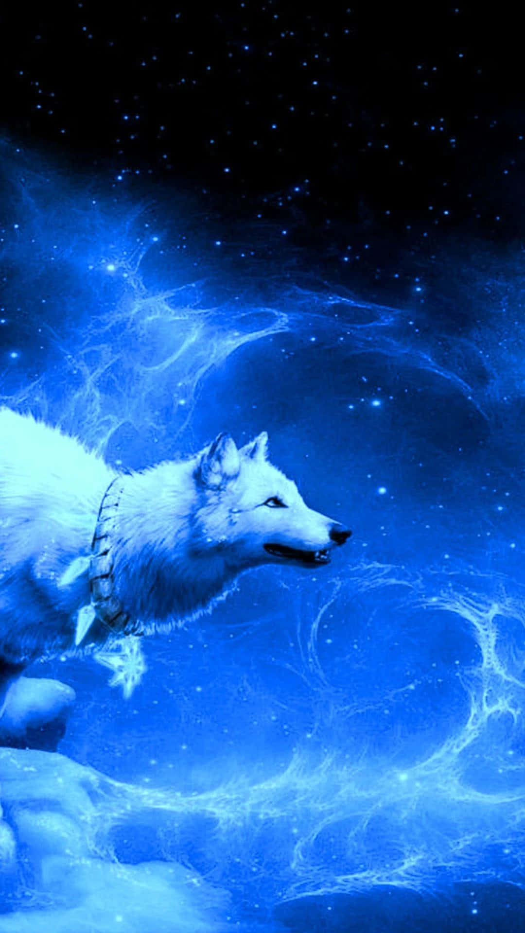 Cool Blue Wolf Northern Lights Wallpaper