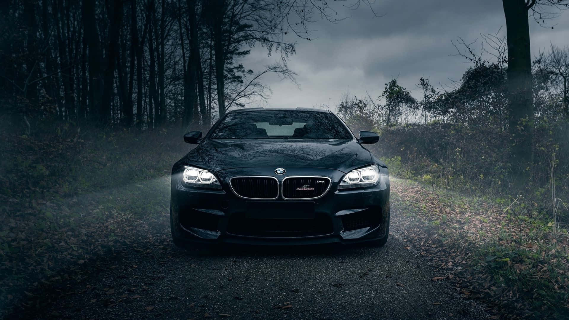 Kølig BMW i skov Wallpaper Wallpaper