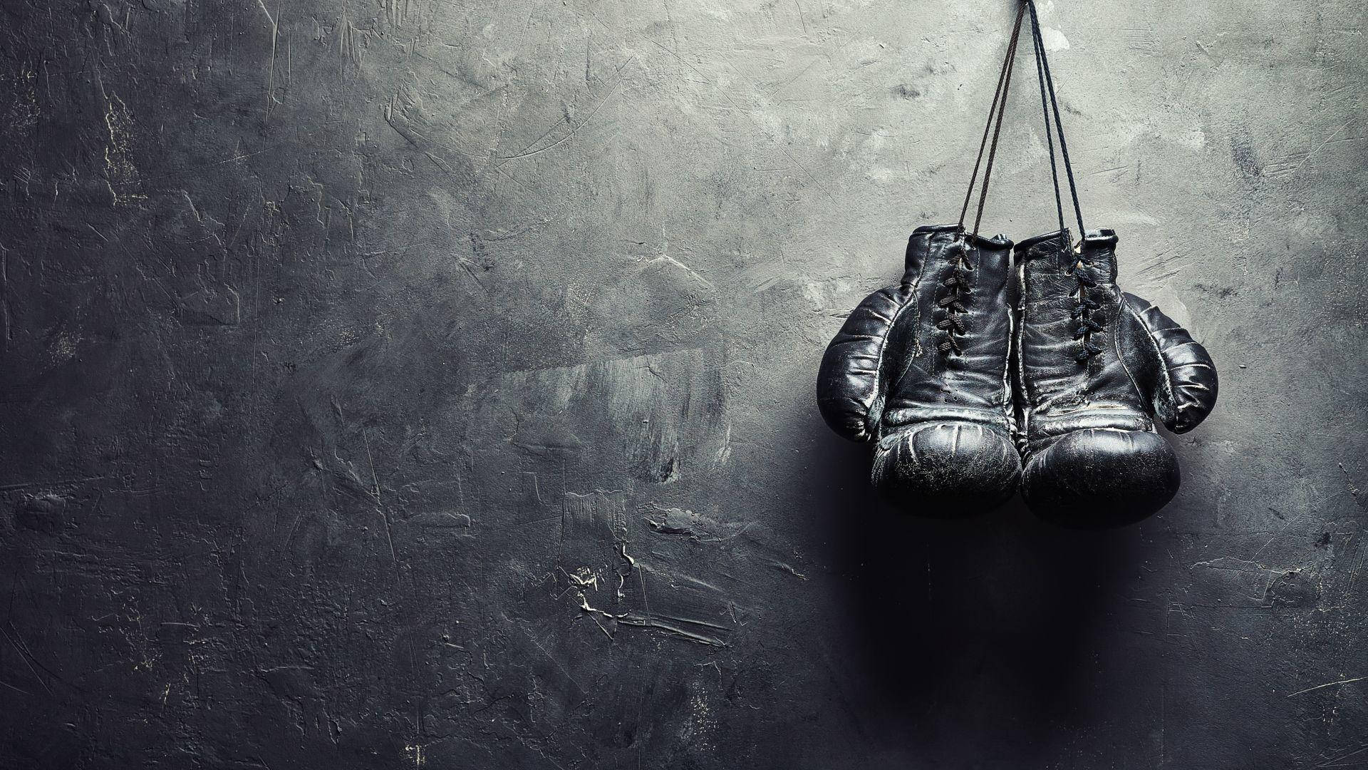 Two Black Boxing Gloves Hanging On A Wall Wallpaper