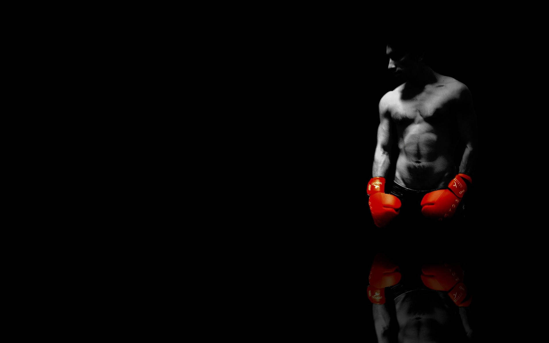 "Feel the power of boxing" Wallpaper