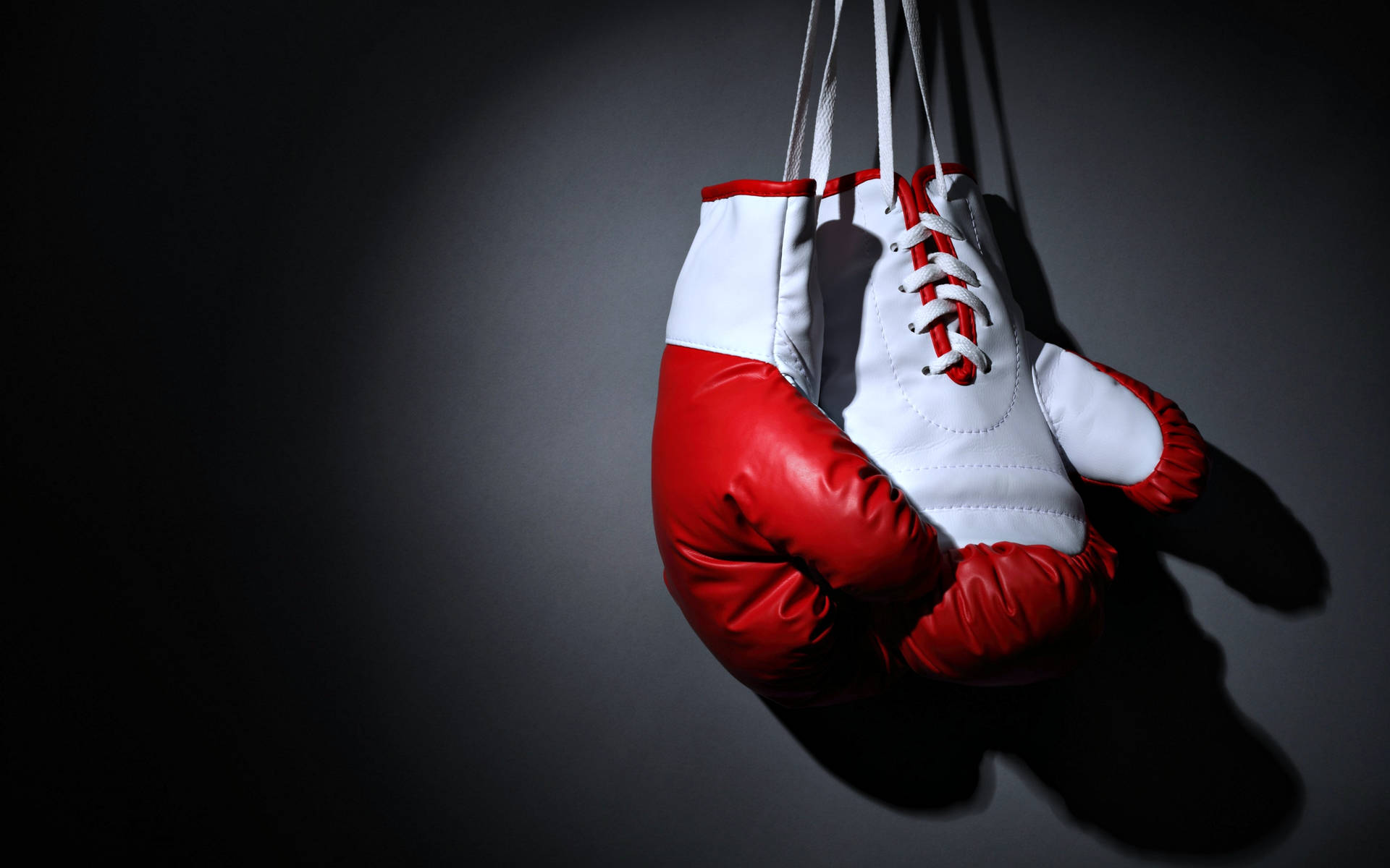 Cool Boxing Gloves With White Laces Wallpaper