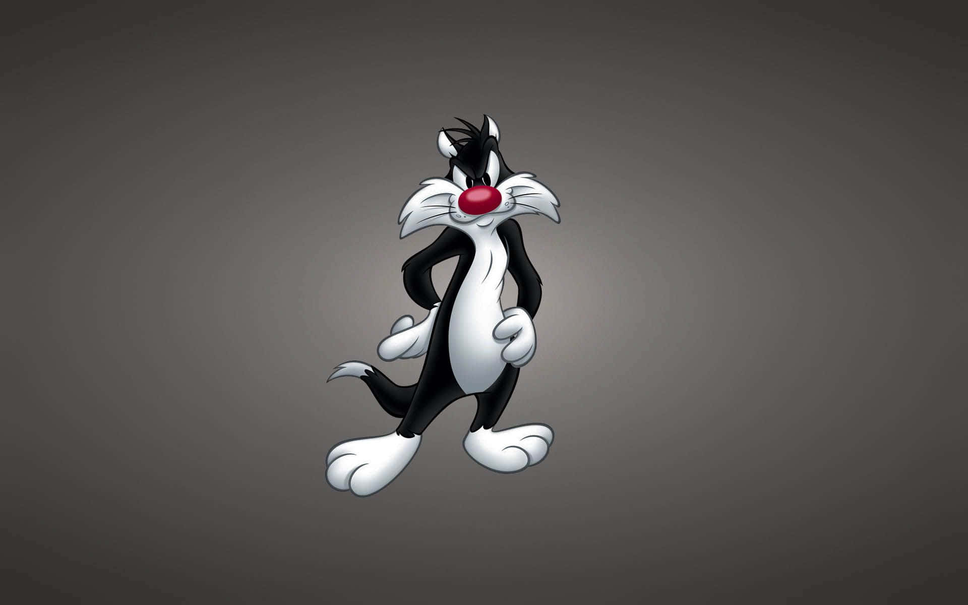 Bugs Bunny, looking cute and cool Wallpaper