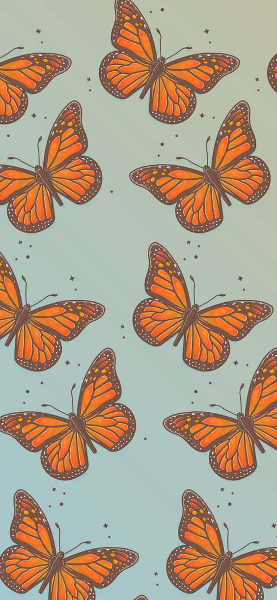 Sjovfarvet sommerfugl Wallpaper