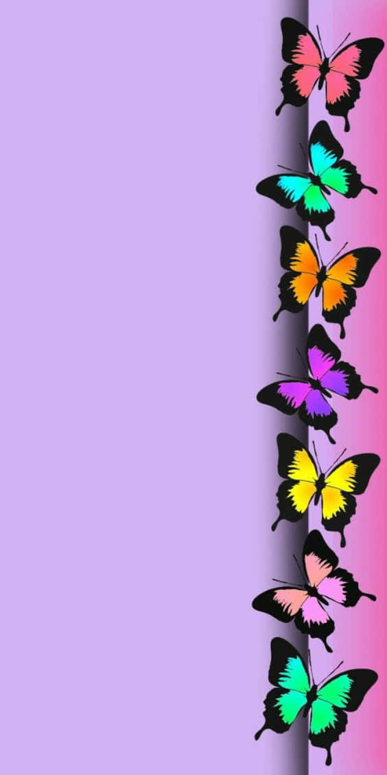 Schönercooler Schmetterling. Wallpaper
