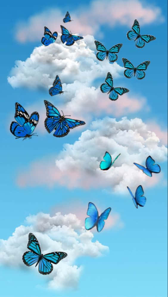 Eincooles Blau-rosa Schmetterling Auf Einem Blatt. Wallpaper