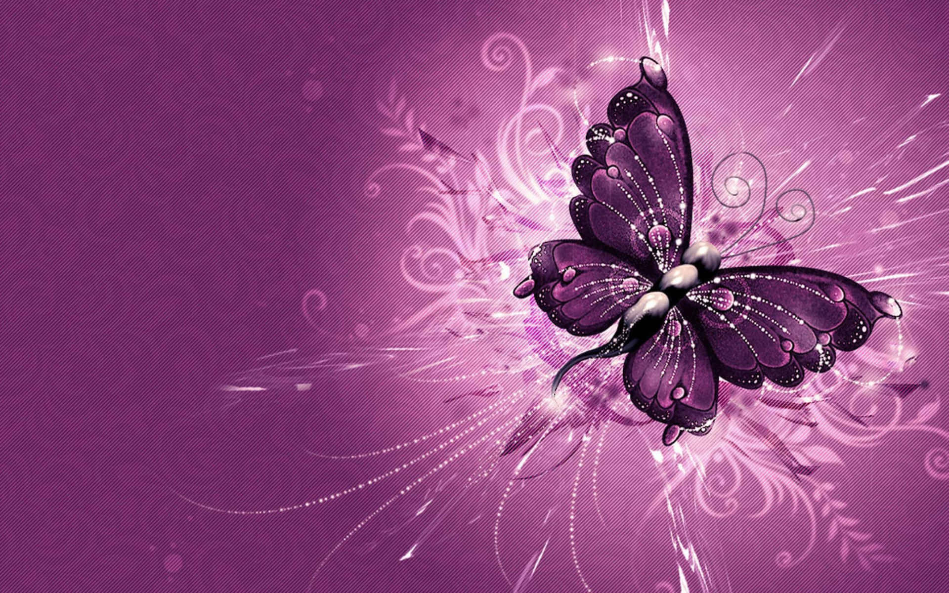 Enlivlig Fjäril På En Vacker Blomma. Wallpaper