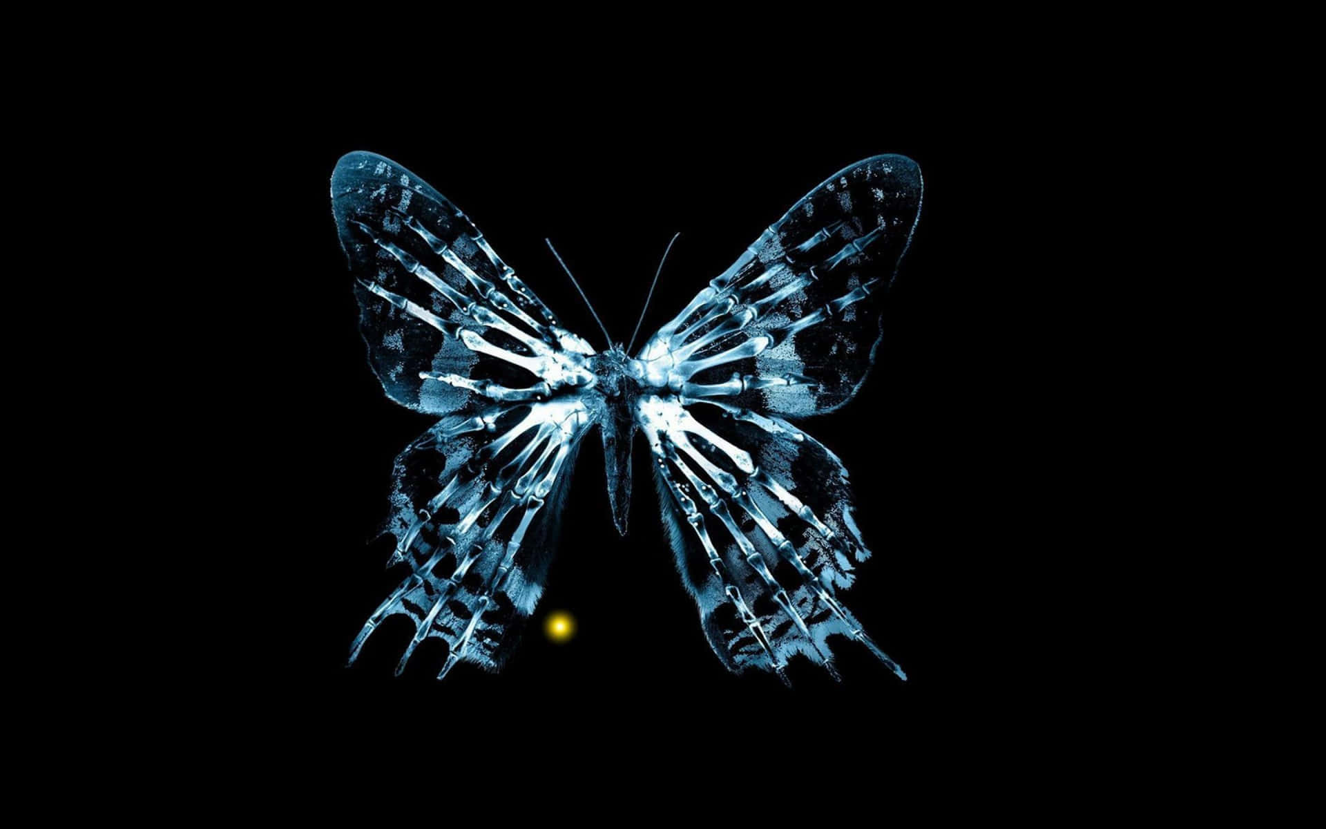 En livlig kølet sommerfugl svævende i naturen. Wallpaper
