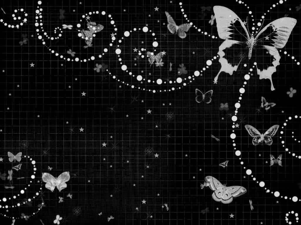 Einbunter, Cooler Schmetterling Wallpaper