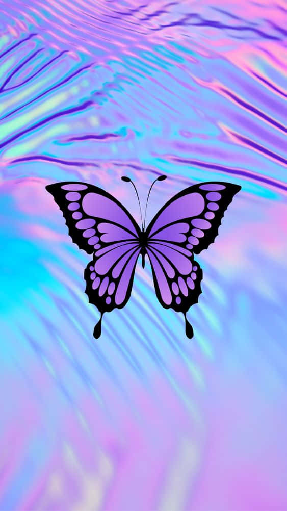 A butterfly is silhouetted against its cool and colourful wings Wallpaper