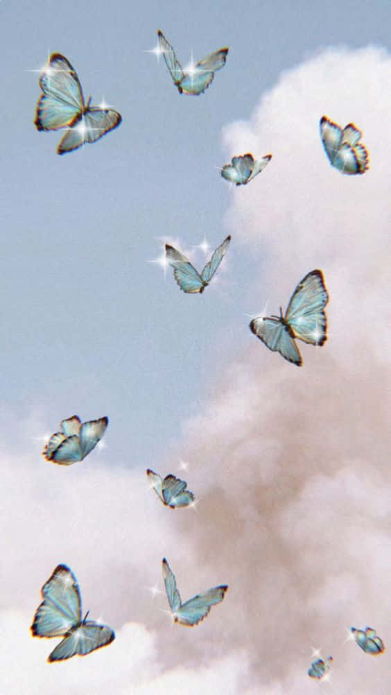 Eineelegante Coole Schmetterling Wallpaper