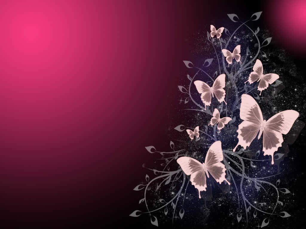 "See the beauty of this cool butterfly!" Wallpaper