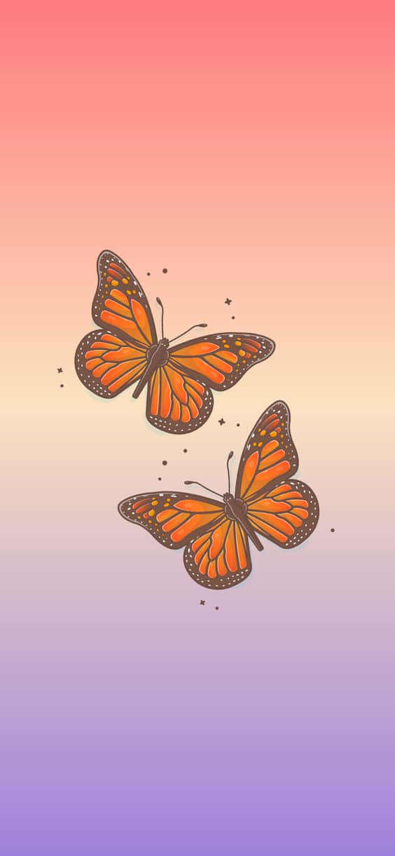 Se ud gracefuld og smuk - denne Cool Butterfly er et syn at beundre. Wallpaper