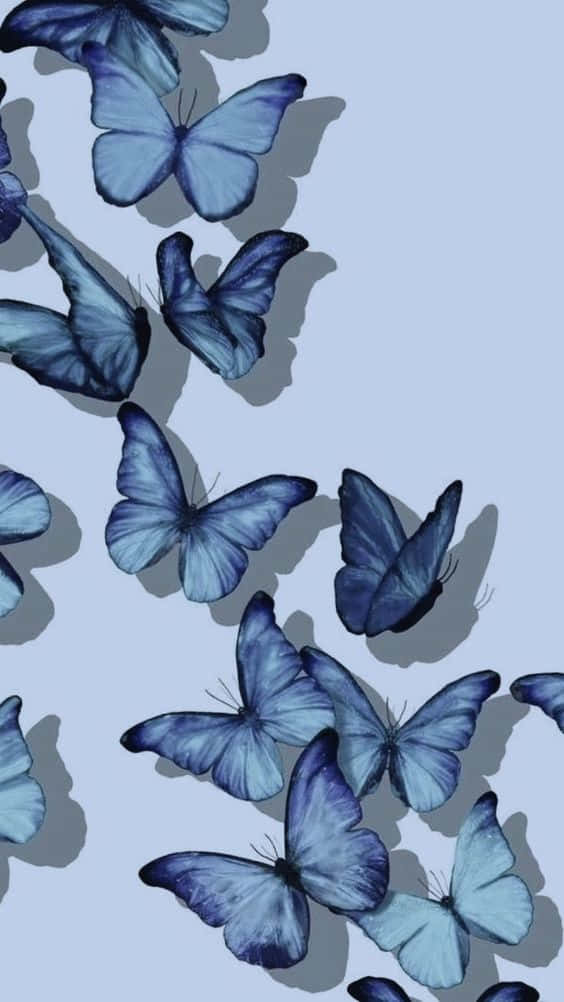 En livlig og appellerende cool sommerfugl design. Wallpaper