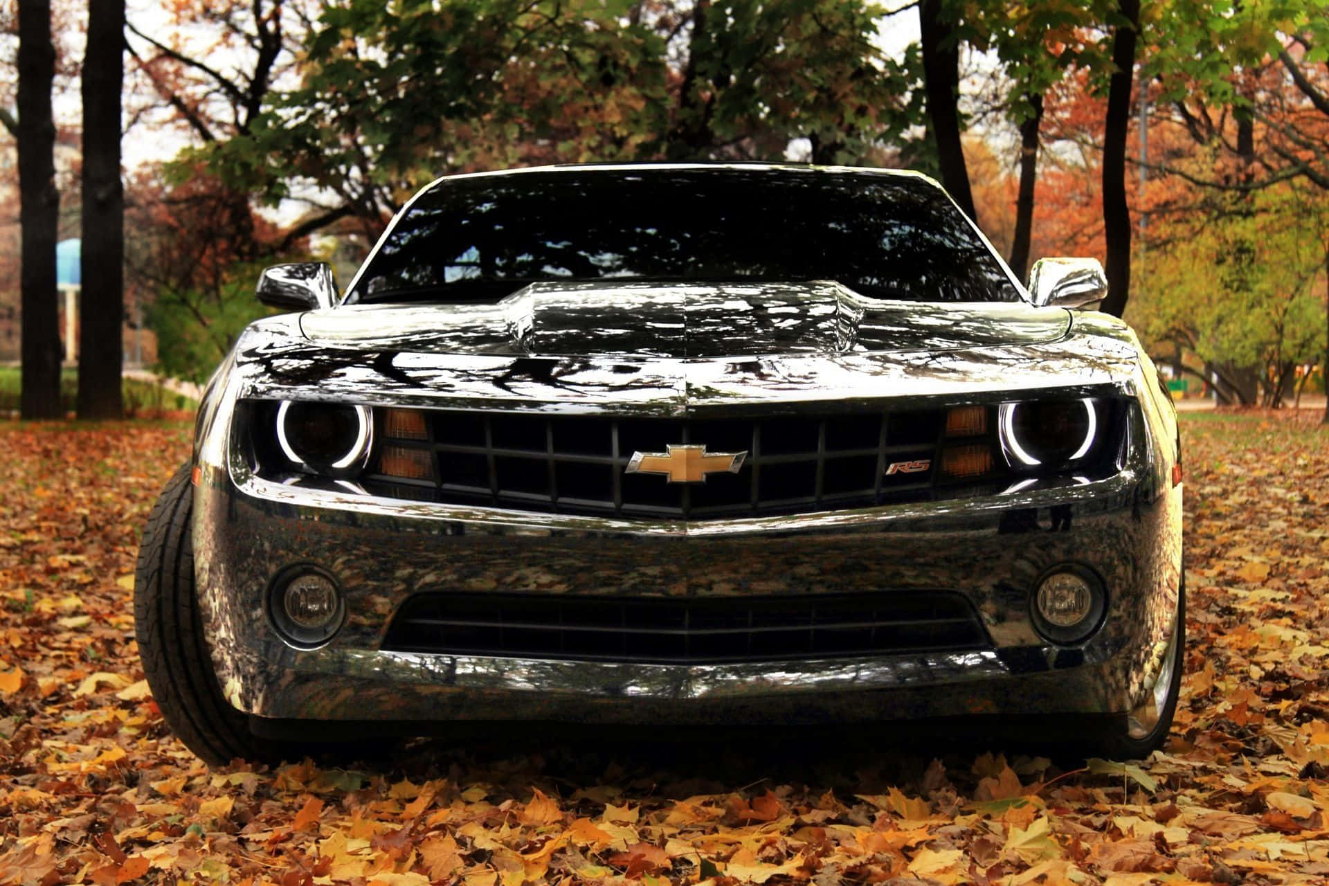 Chevroletcamaro Hintergrundbilder - Hintergrundbilder Für Den Desktop Wallpaper