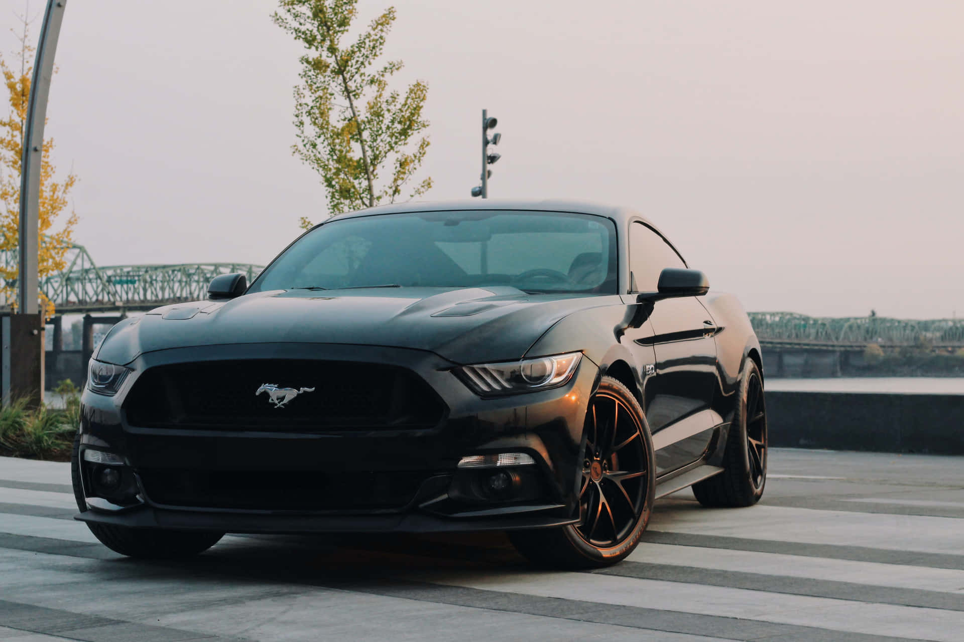 A Black Ford Mustang Parked On A Street