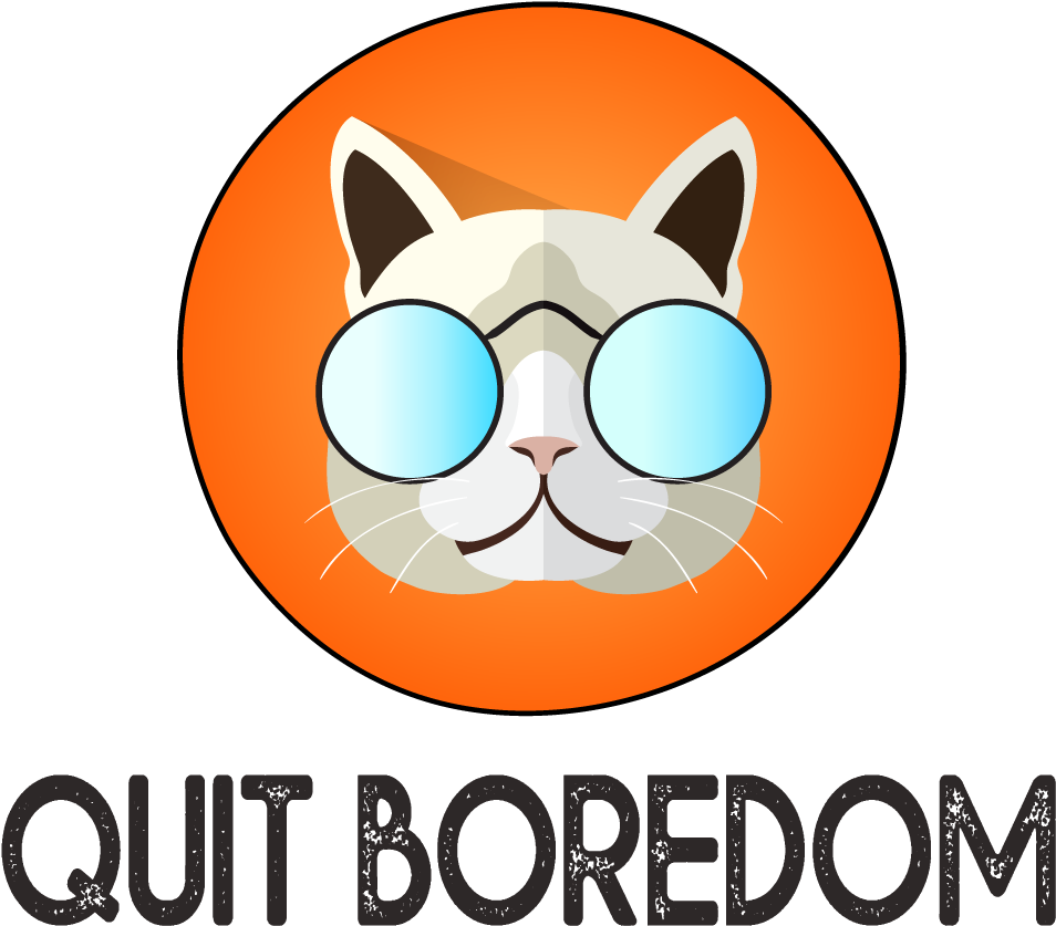 Cool Cat Meme Quit Boredom PNG