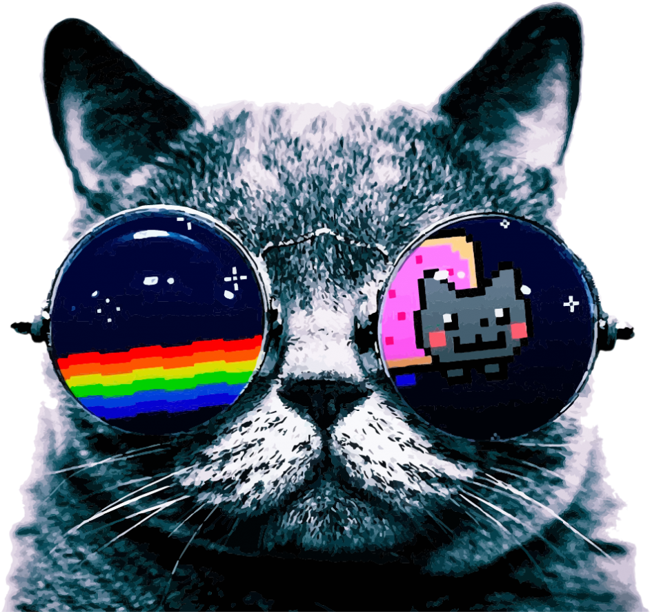Cool Cat Memewith Sunglasses PNG
