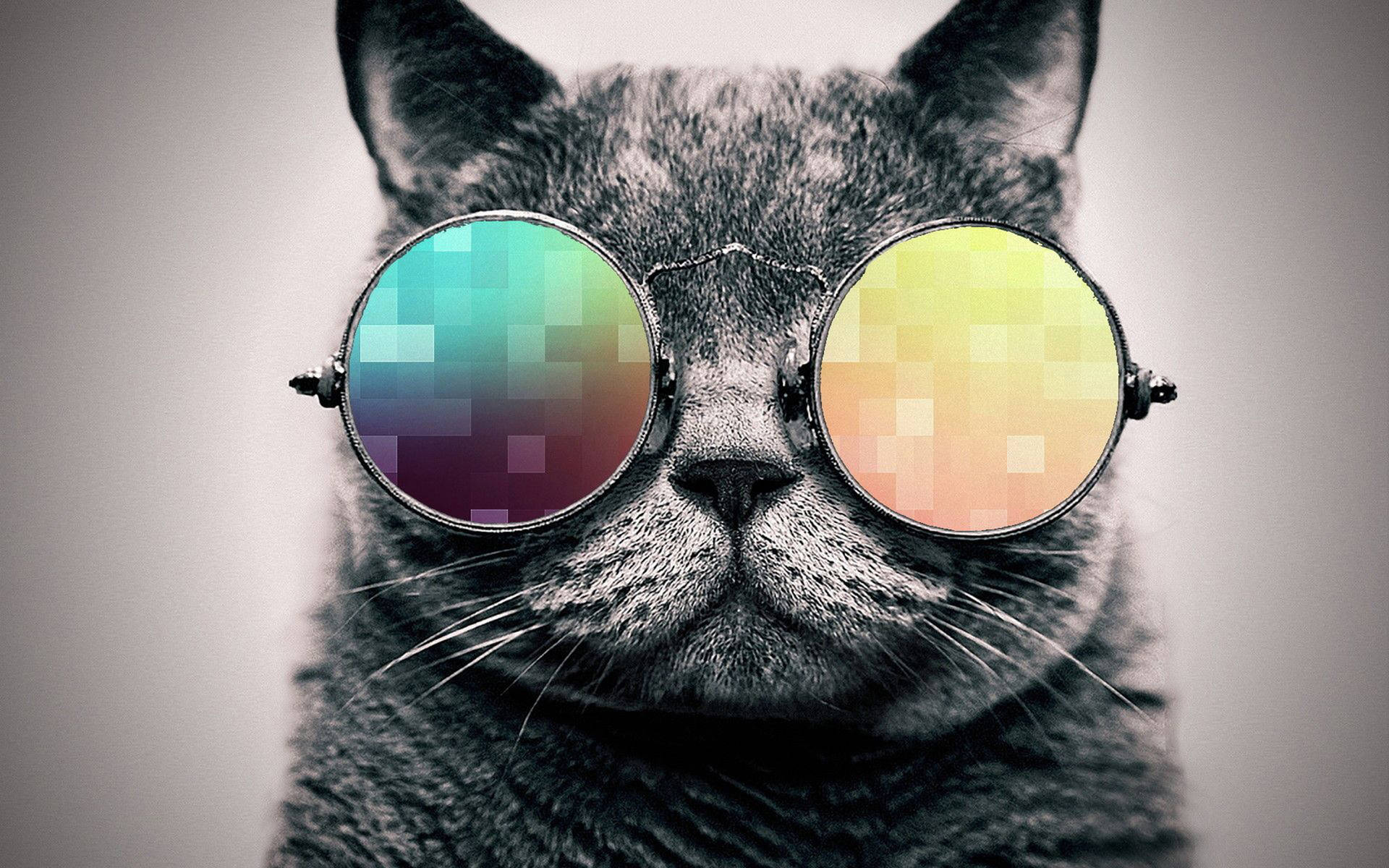 Cool Cat Pixelated Glasses Wallpaper