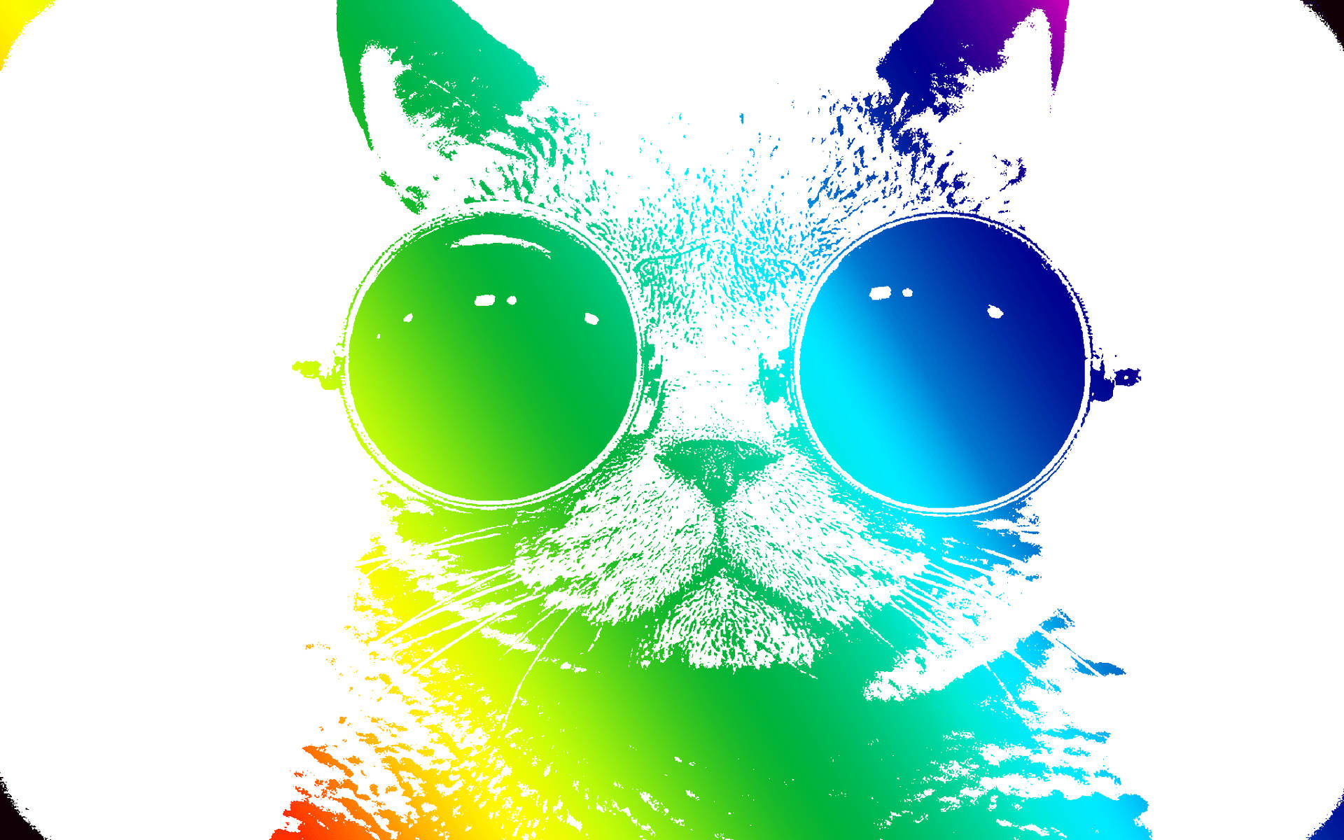 A Vibrantly Colored Cool Cat Amidst a Rainbow Backdrop Wallpaper