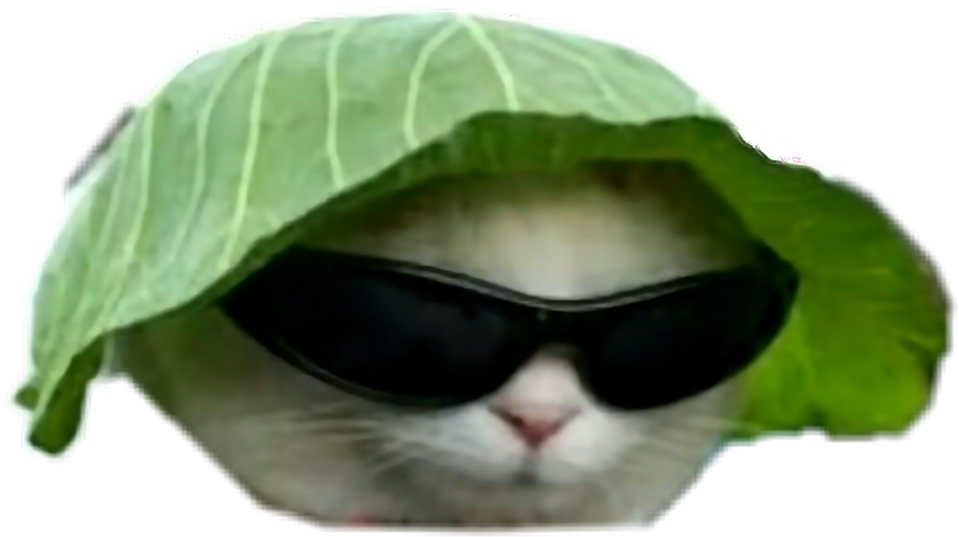 Cool Cat With Leaf Hatand Sunglasses.png PNG