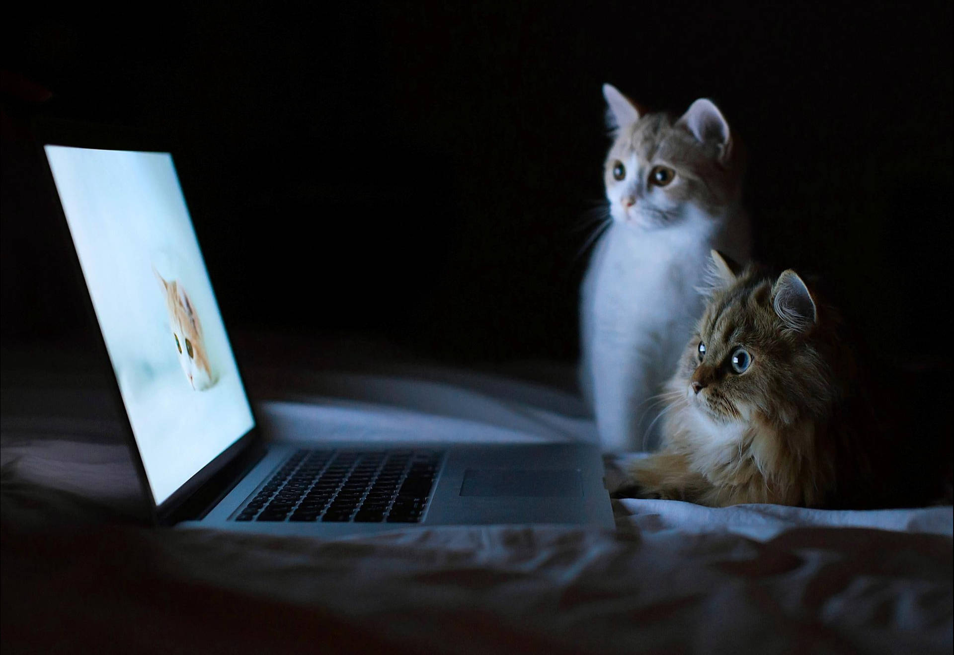Cool Katte Se Laptop Wallpaper
