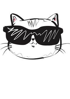 Cool Catwith Sunglasses PNG