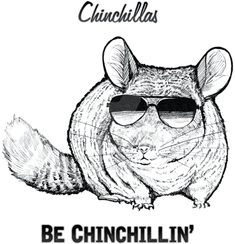 Cool Chinchilla Sunglasses Artwork PNG