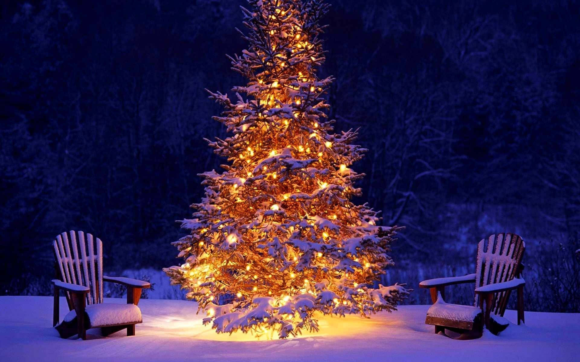Sjov juletid med træ og stole Wallpaper