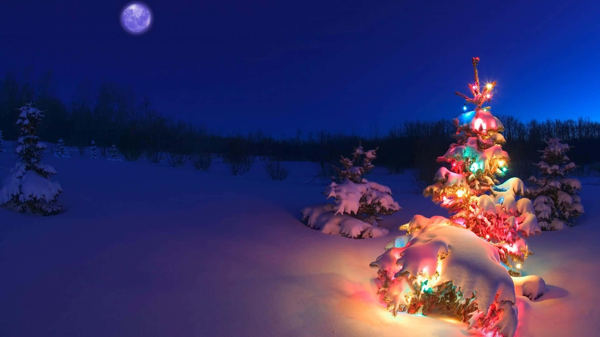 Árbolde Navidad En La Nieve Con Luces. Fondo de pantalla