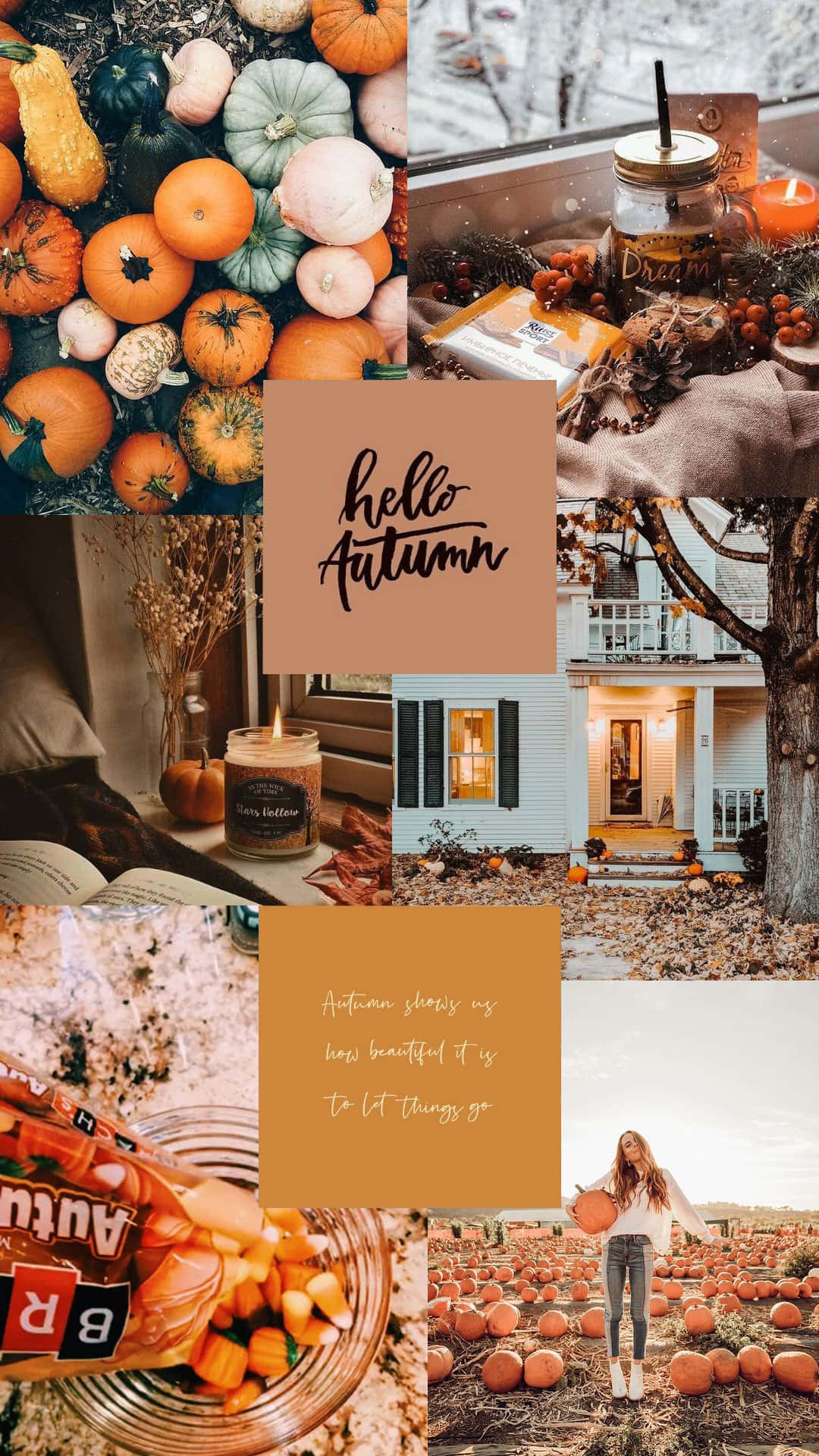 Download Hello Autumn By Samantha Mccarthy Wallpaper | Wallpapers.com